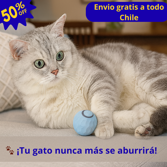 Pelota de Juguete para Mascotas Recargable
