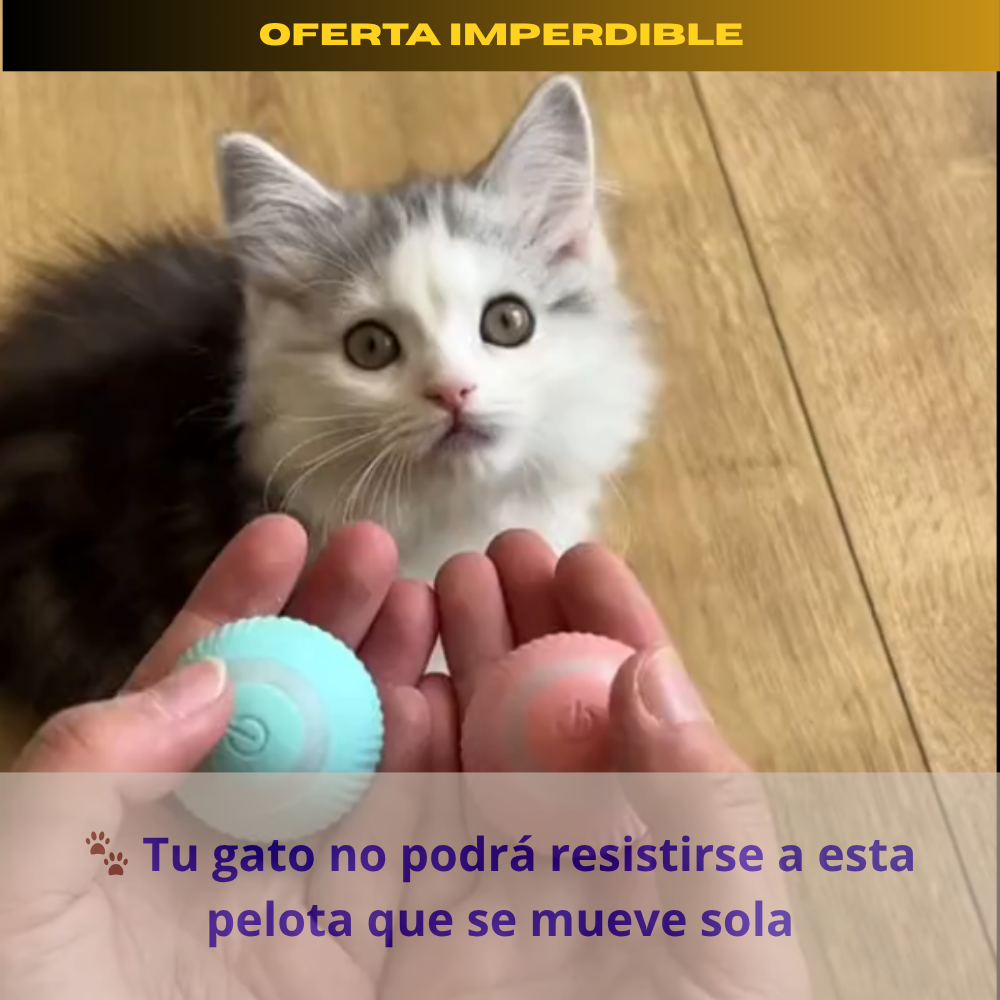 Pelota de Juguete para Mascotas Recargable