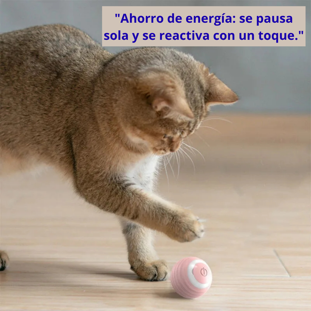 Pelota de Juguete para Mascotas Recargable